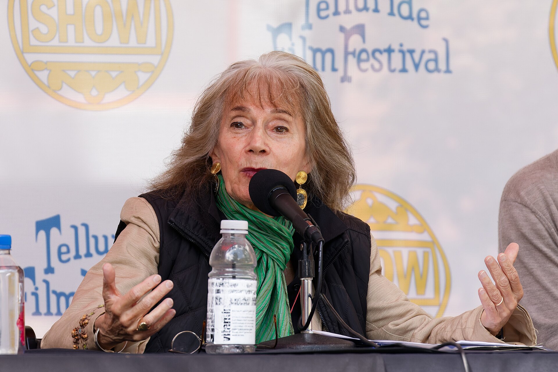 Annette Insdorf at the 2024 Telluride Film Festival during the Sunday Noon Seminar panel discussion.