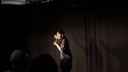 Ashley Gavin at the 2024 Edinburgh Festival Fringe for My Therapist is Dying