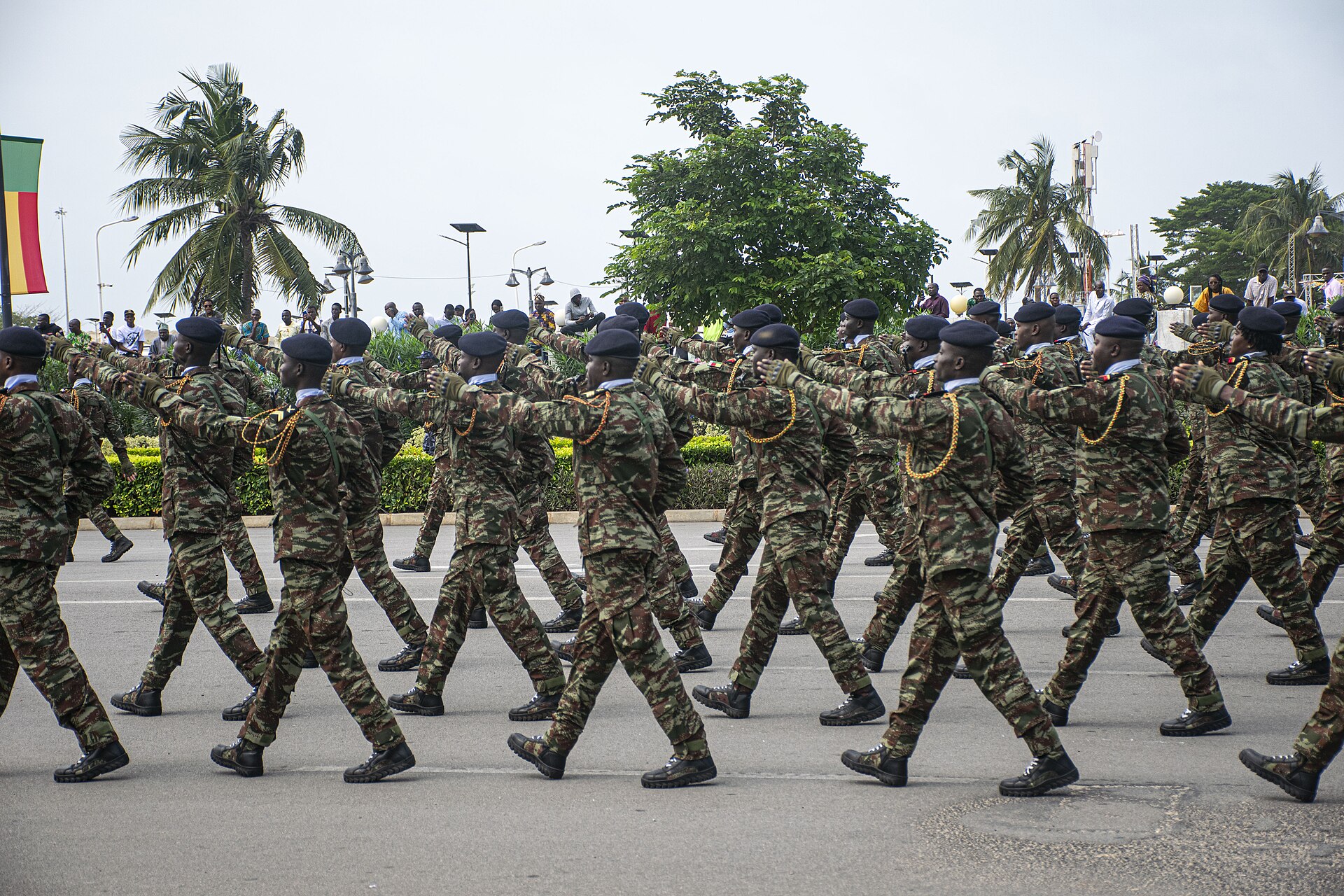 Défilé militaire - Armée de terre