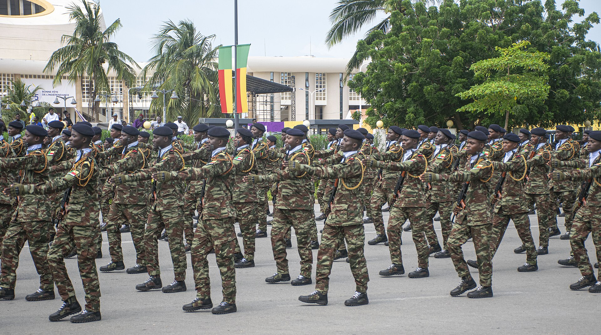 Défilé militaire - Armée de terre