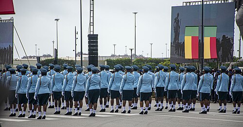 Défilé militaire - Armée de terre