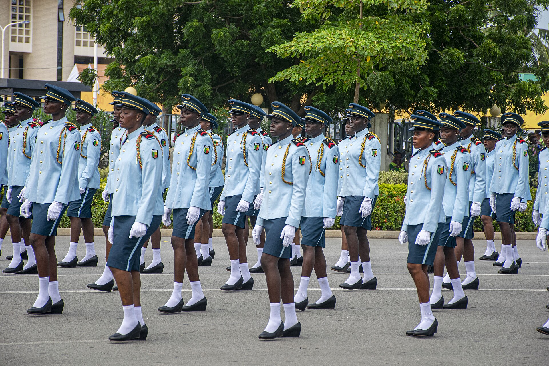 Défilé militaire - Armée de terre