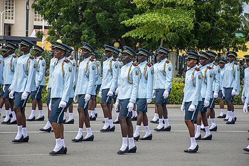 Défilé militaire - Armée de terre