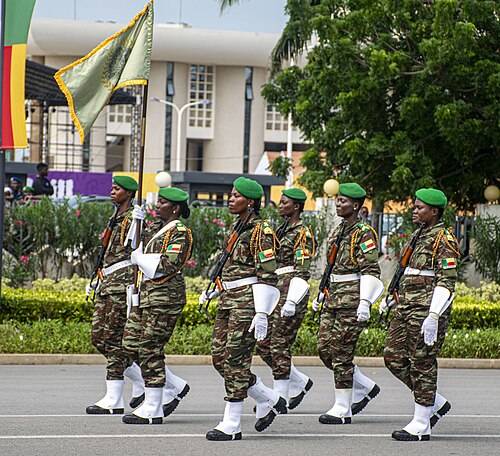 Défilé de la Garde nationale