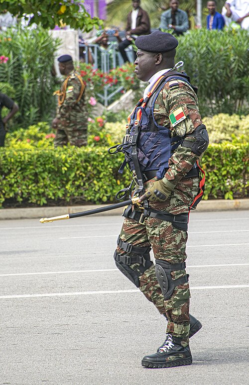 Défilé - Marine nationale