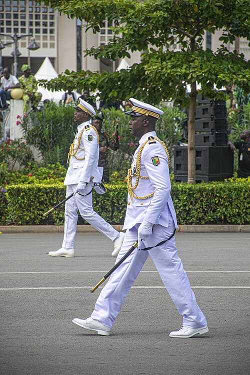 Défilé - Marine nationale