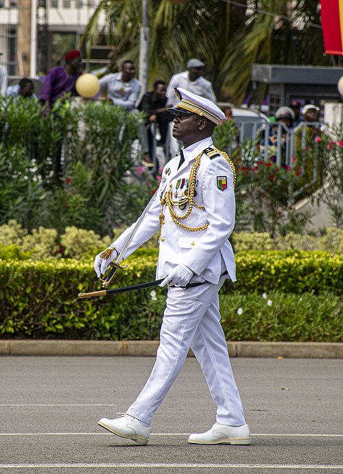 Défilé - Marine nationale