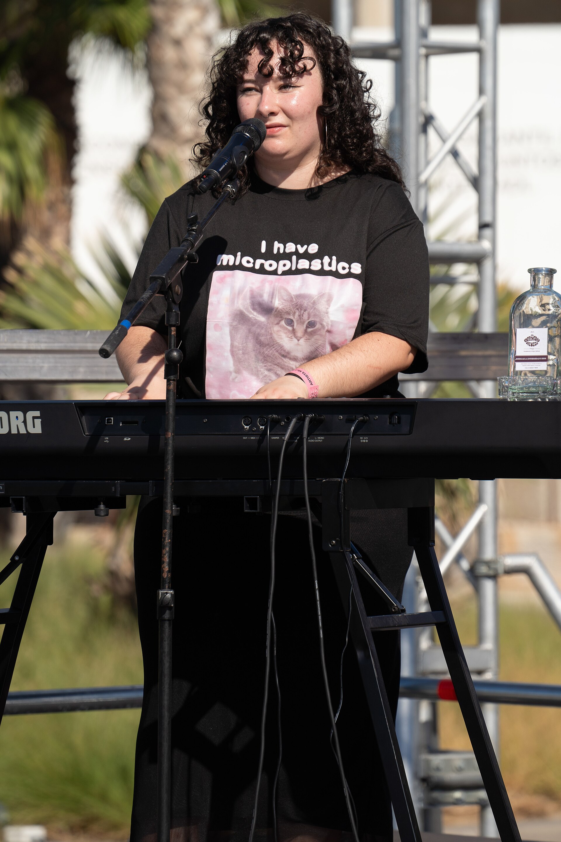 La enfermedad del beso at Brisa Festival 2025