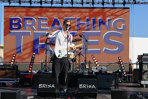 Polarnova at BrisaFestival 2025