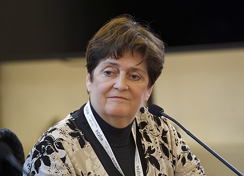 Cheryl Phillips, journalism professor at Stanford University, speaking at the International Journalism Festival 2024 in Perugia, Italy on a panel that highlighted the Sigma Award winners.