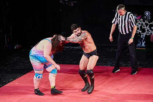 Christmas Brawl 2025, in Arena, Vienna, Wrestler Match, Bubblegum vs Darius 006