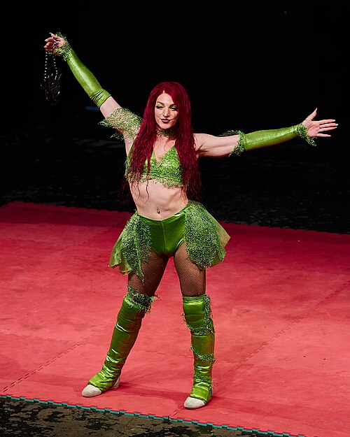 Christmas Brawl 2025, in Arena, Vienna, Wrestler, Michelangelo 001