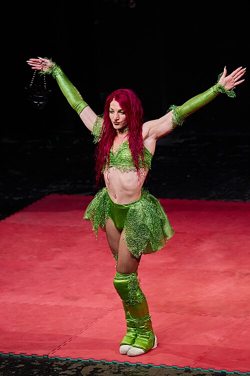 Christmas Brawl 2025, in Arena, Vienna, Wrestler, Michelangelo 002