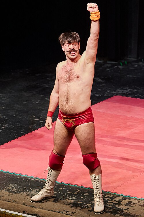 Christmas Brawl 2025, in Arena, Vienna, Wrestler, Sky 002