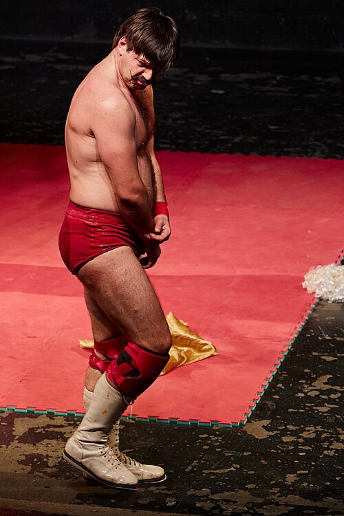 Christmas Brawl 2025, in Arena, Vienna, Wrestler, Sky 003