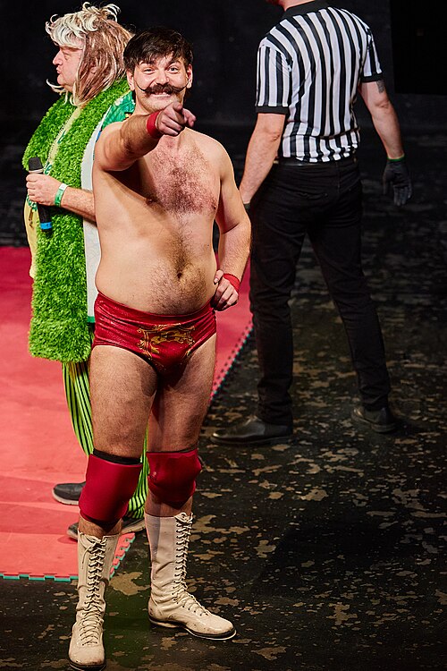 Christmas Brawl 2025, in Arena, Vienna, Wrestler, Sky 004