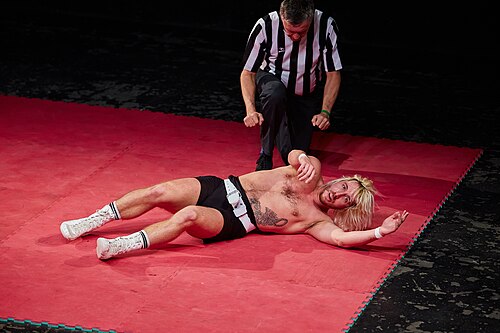 Christmas Brawl 2025, in Arena, Vienna, Wrestling Match, Mirko vs. Bravo 010