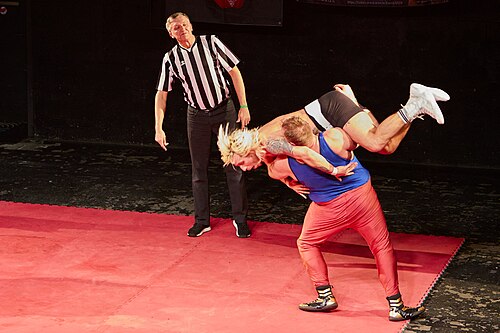 Christmas Brawl 2025, in Arena, Vienna, Wrestling Match, Mirko vs. Bravo 014