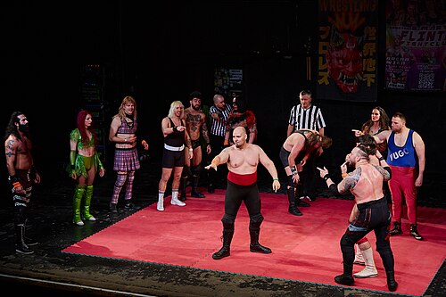 Christmas Brawl 2025, in Arena, Vienna, Wrestling Match, Royal Rumble 003