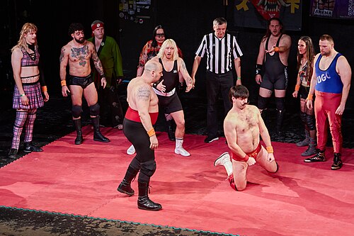 Christmas Brawl 2025, in Arena, Vienna, Wrestling Match, Royal Rumble 007