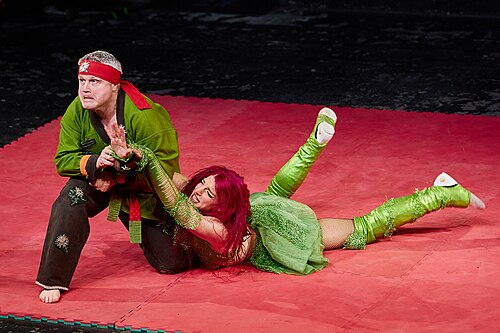 Christmas Brawl 2025, in Arena, Vienna, Wrestling Match, Royal Rumble 014