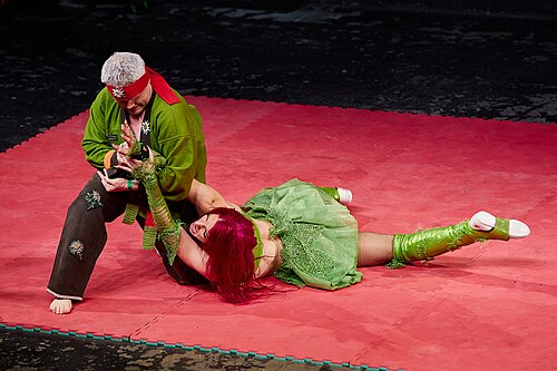 Christmas Brawl 2025, in Arena, Vienna, Wrestling Match, Royal Rumble 015