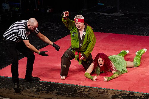 Christmas Brawl 2025, in Arena, Vienna, Wrestling Match, Royal Rumble 016