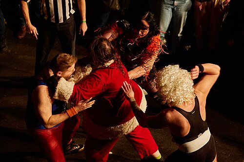 Christmas Brawl 2025, in Arena, Vienna, Wrestling Match, Royal Rumble 017