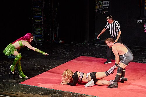 Christmas Brawl 2025, in Arena, Vienna, Wrestling, Tag Team Match, Rosi/Michelangelo vs. Himayala/Hias 023