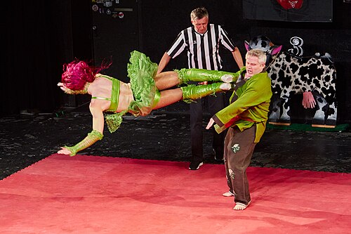 Christmas Brawl 2025, in Arena, Vienna, Wrestling, Tag Team Match, Rosi/Michelangelo vs. Himayala/Hias 032