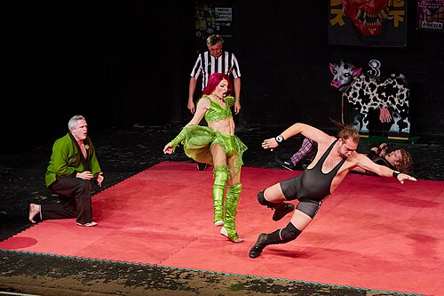 Christmas Brawl 2025, in Arena, Vienna, Wrestling, Tag Team Match, Rosi/Michelangelo vs. Himayala/Hias 034