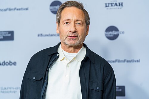 David Duchovny at the premiere of "See You When I See You"