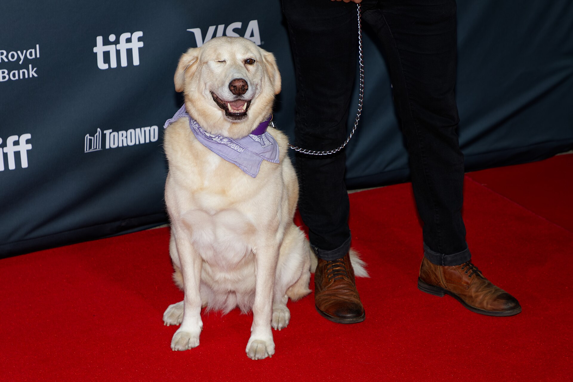 Diamond Bawa at the 2024 Toronto International Film Festival (TIFF) for the movie Superboys Of Malegaon.