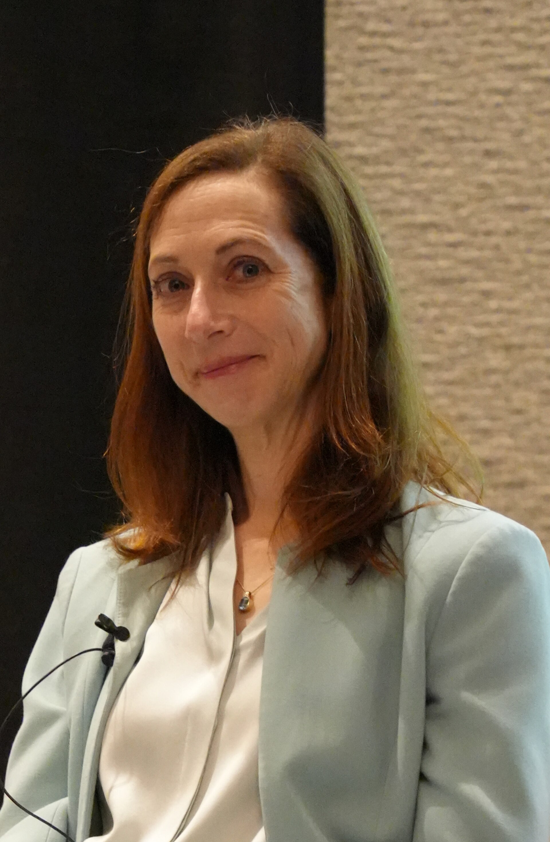 Elaine Buckberg, Harvard Salata Institute for Climate and Sustainability, panel at SXSW 2025 in Austin, Texas. How to Build Out a City EV Charging Network.