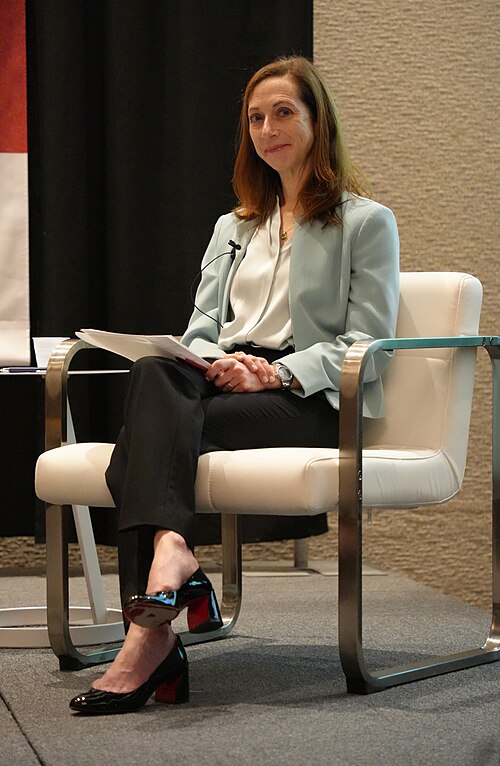 Elaine Buckberg, Harvard Salata Institute for Climate and Sustainability, panel at SXSW 2025 in Austin, Texas. How to Build Out a City EV Charging Network.