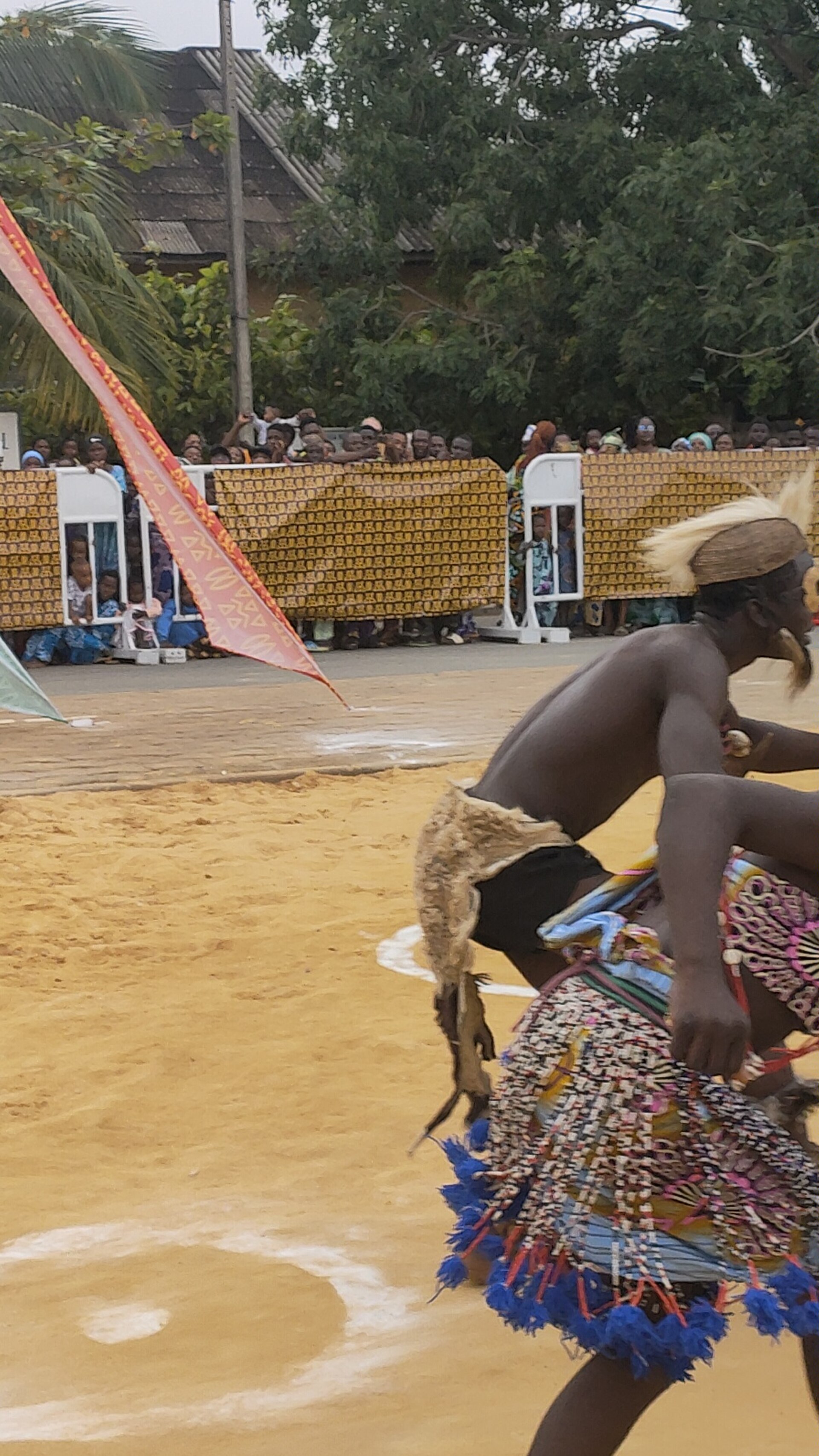 Festival des masques 2025, Porto