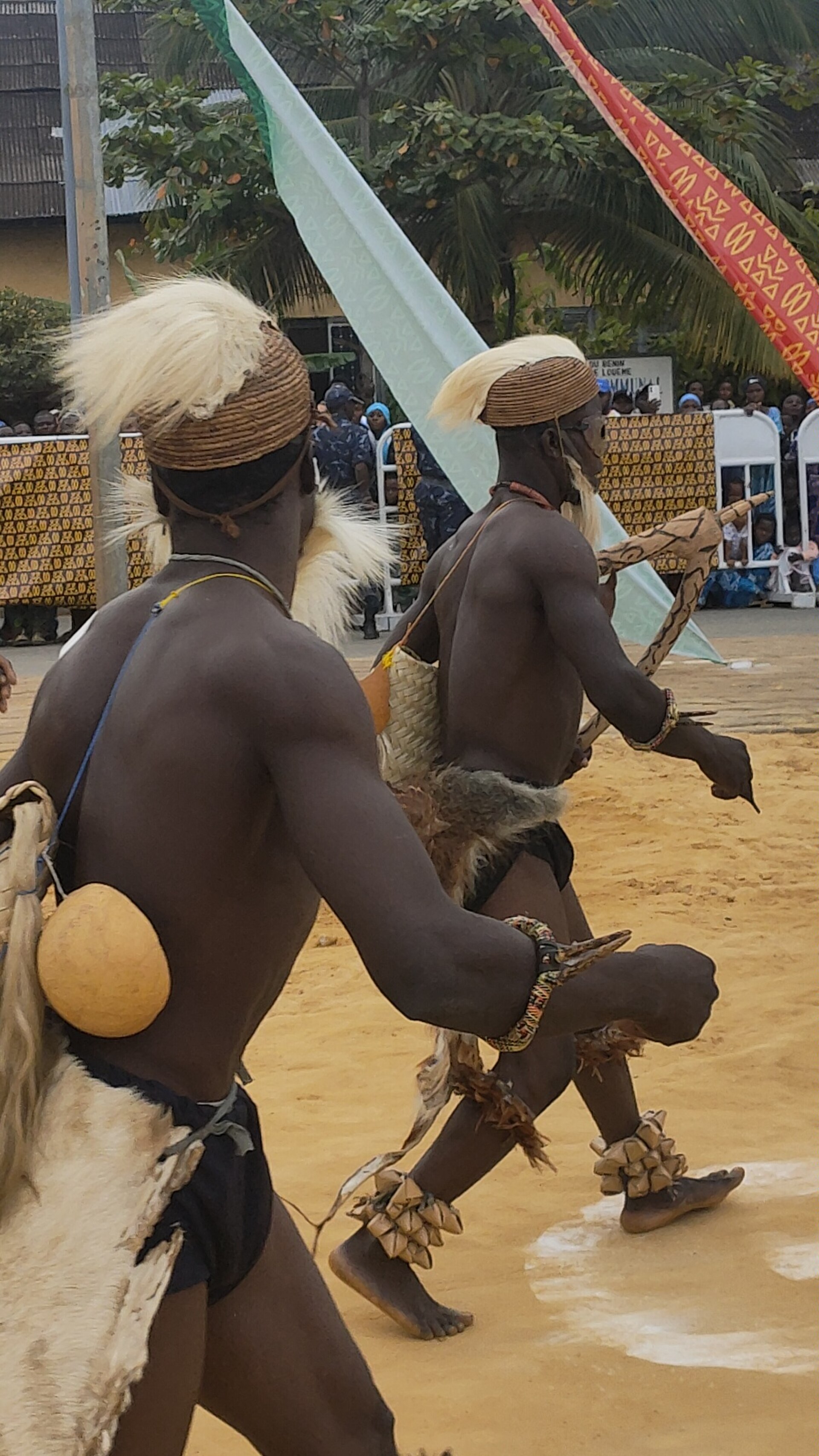 Festival des masques 2025, Porto