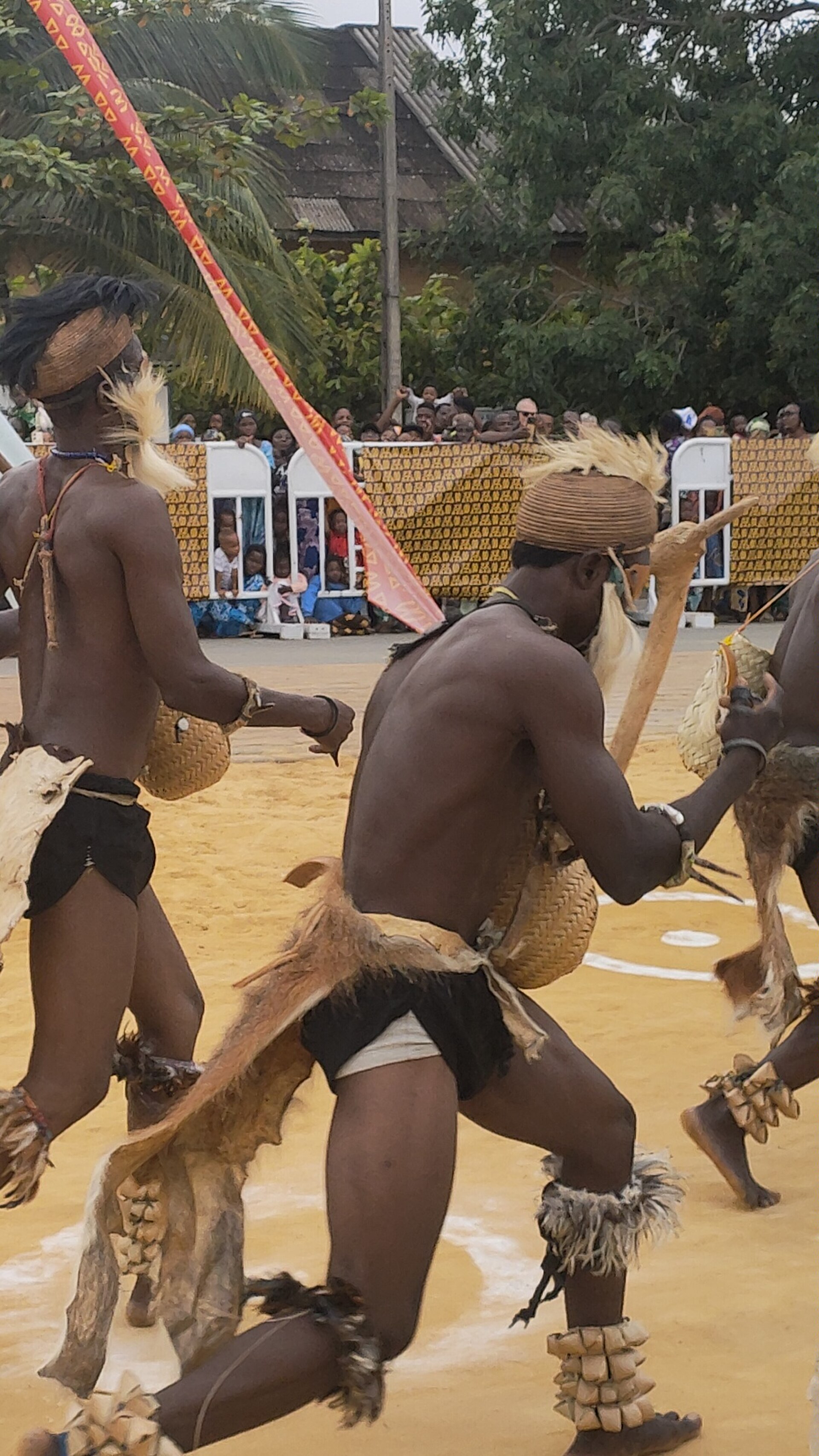 Festival des masques 2025, Porto