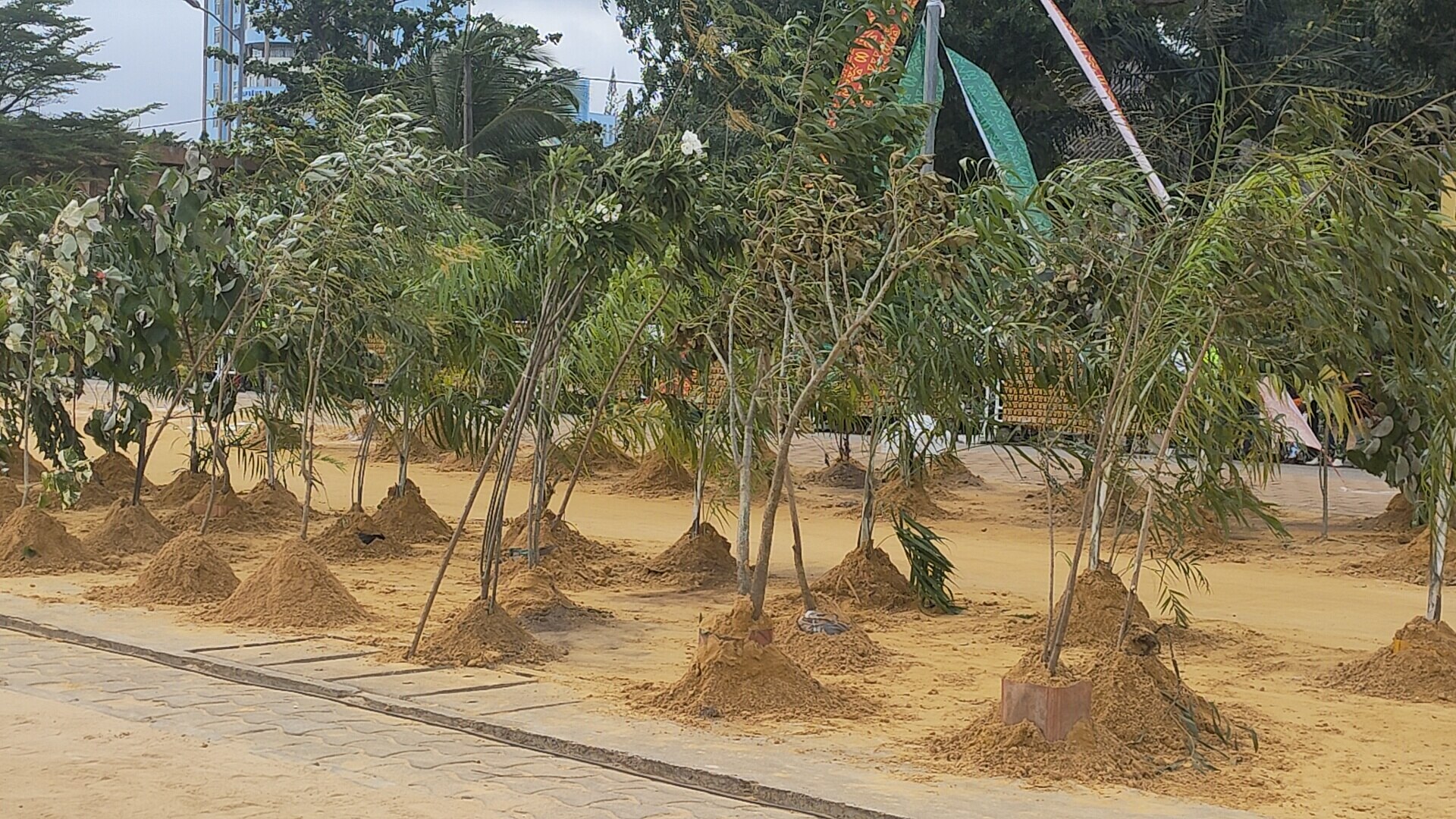Festival des masques de Porto-Novo 2025