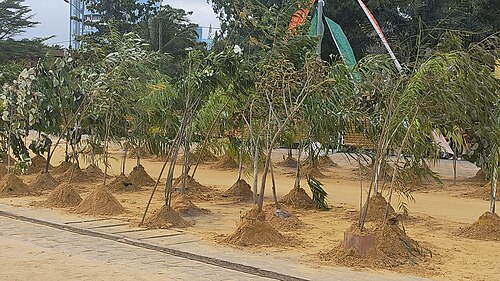 Festival des masques de Porto-Novo 2025