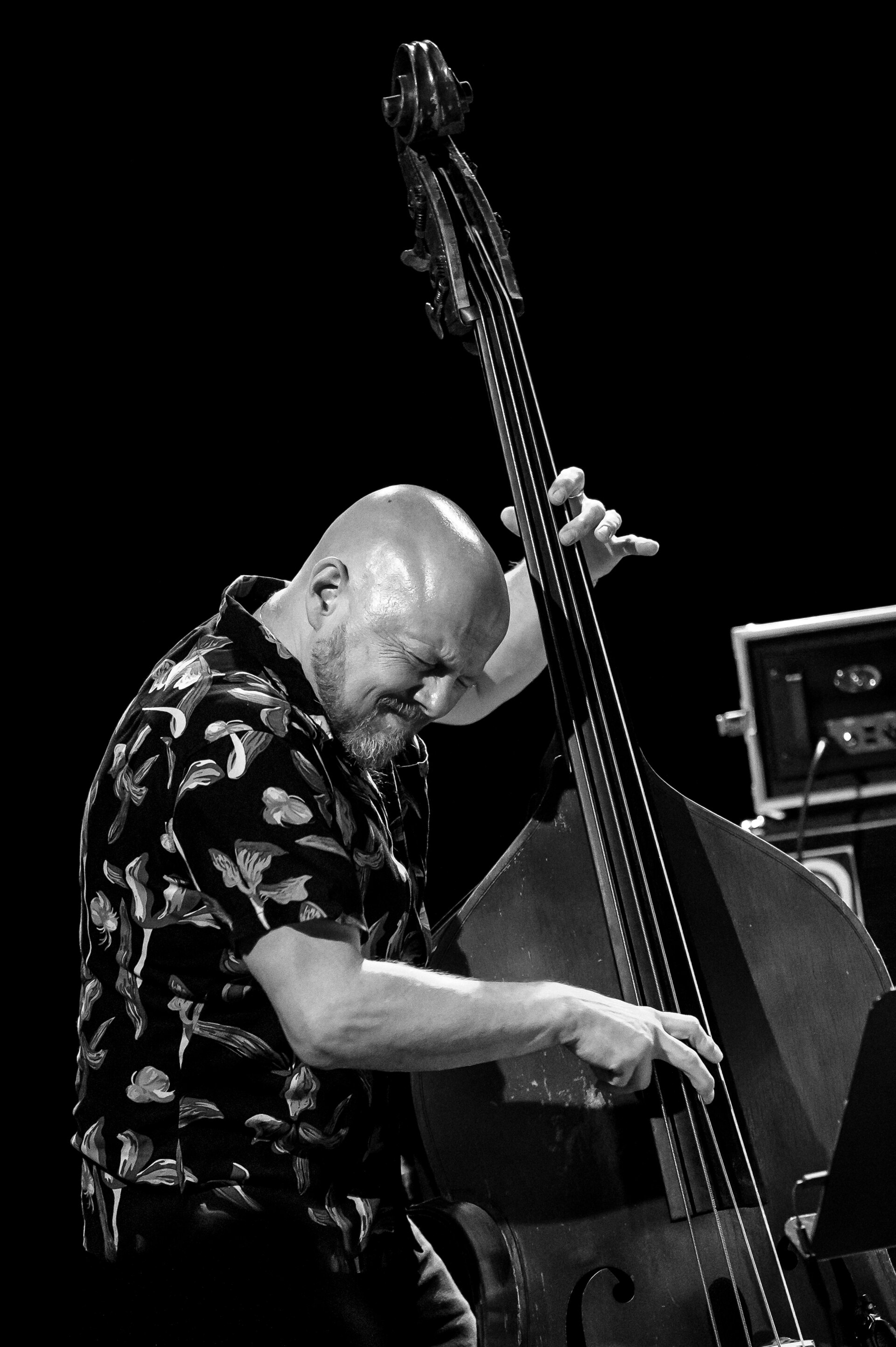 Ingebrigt Håker Flaten på turné med Mette Rasmussen Trio North februar 2024. Fra Arendal jazzklubb (Lille Torungen, Arendal Kulturhus).