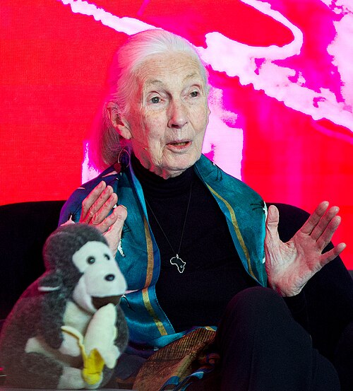 Jane Goodall at SXSW London 2025