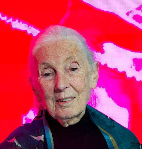 Jane Goodall at SXSW London 2025