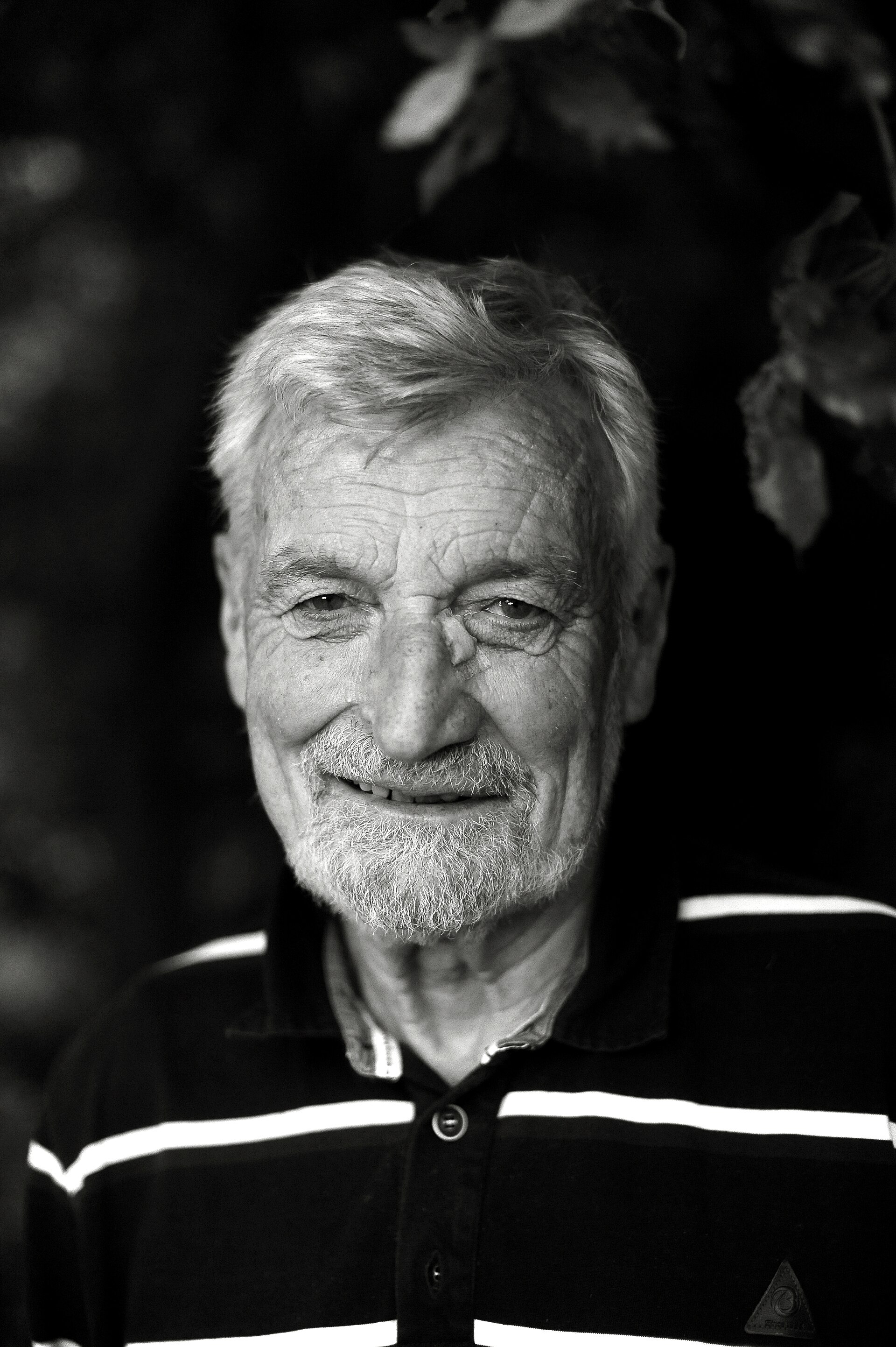 Jean-Luc Van Den Heede