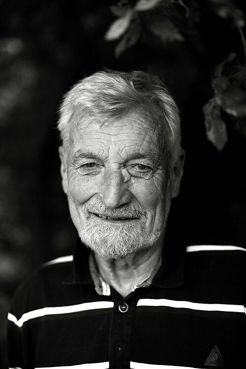 Jean-Luc Van Den Heede