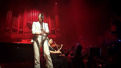 Jeanne Cherhal en concert à la salle Gaveau