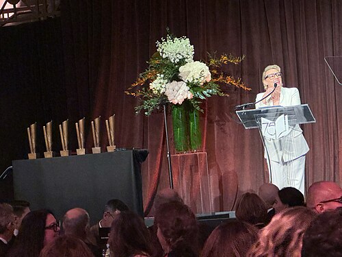 Kate McKinnon at the National Book Awards Ceremony 2024 in New York City, New York
