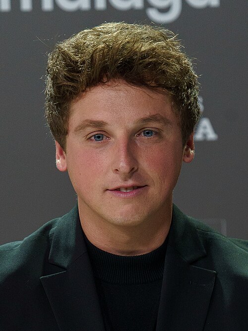 Carlos Scholz at the Red Carpet of the Malaga 2025 Festival at Malaga City Council