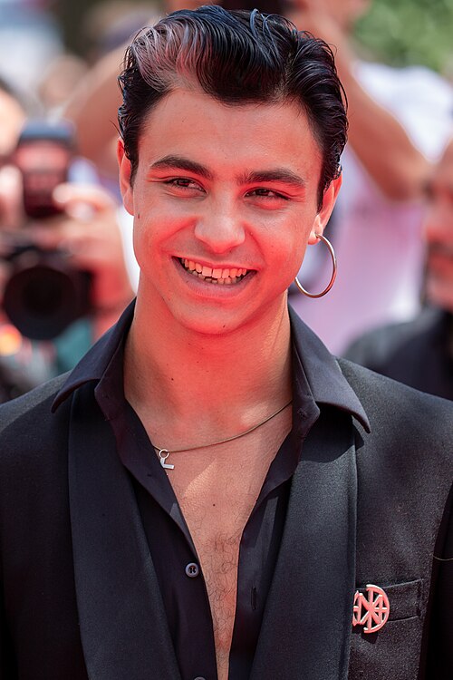 Mitch Smiling at 2025 Cannes Red Carpet for Romería