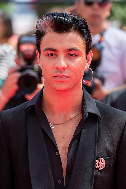 Mitch at 2025 Cannes Red Carpet for Romería